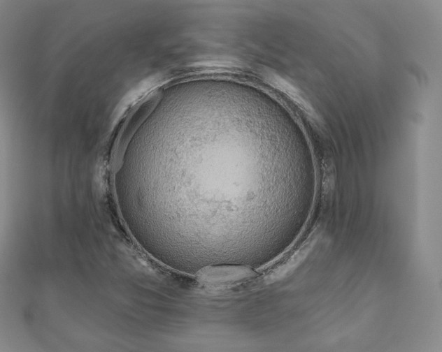 X0000110861357200906181133