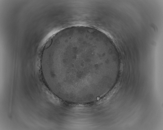 X0000110861359200906181133