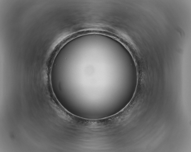 X0000110861360200906181133
