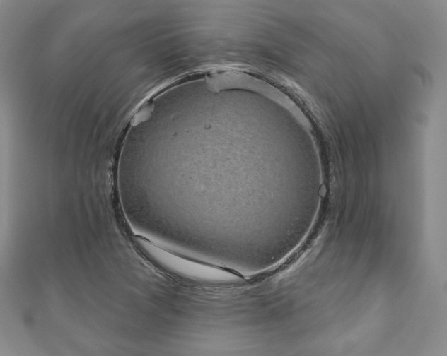 X0000110861361200906181133