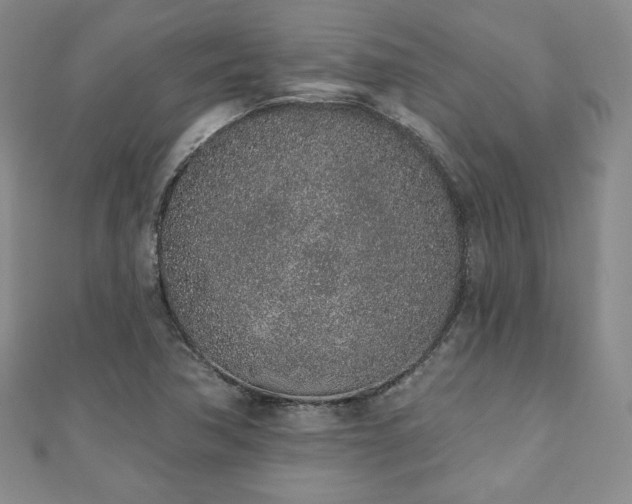 X0000110861362200906181133