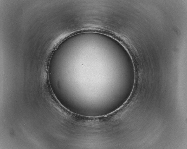 X0000110861363200906181133