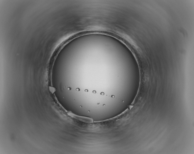 X0000110861364200906181133