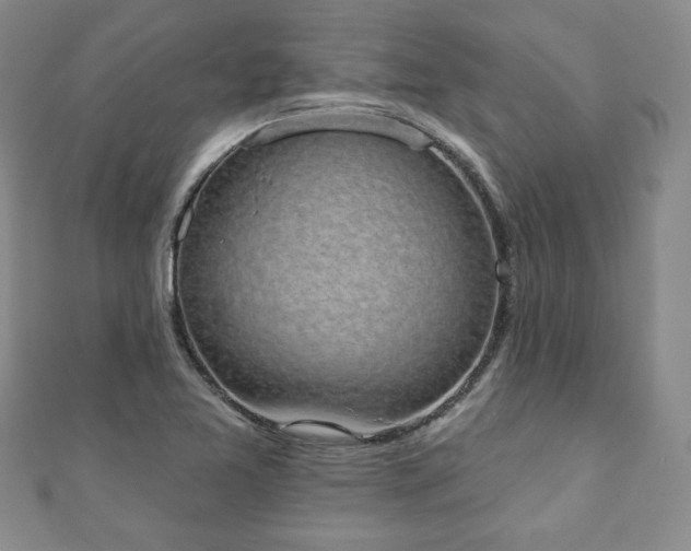 X0000110861365200906181133
