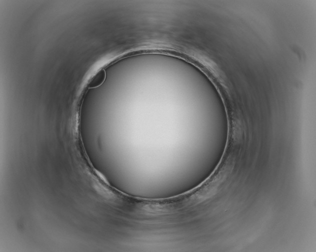 X0000110861366200906181133