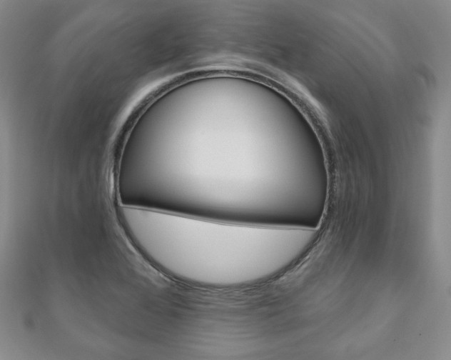 X0000110861368200906181133