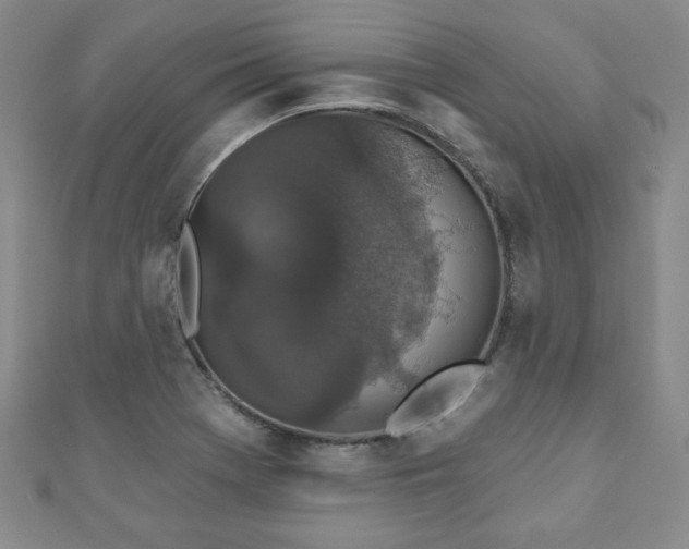X0000110861369200906181133