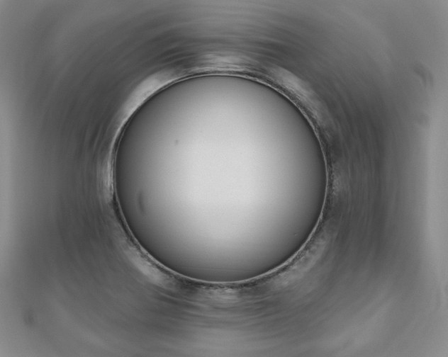 X0000110861370200906181133