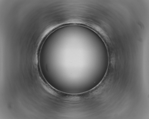 X0000110861372200906181133