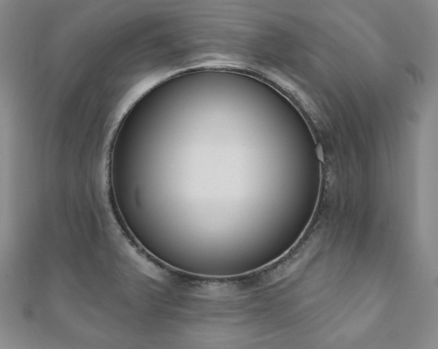 X0000110861375200906181133