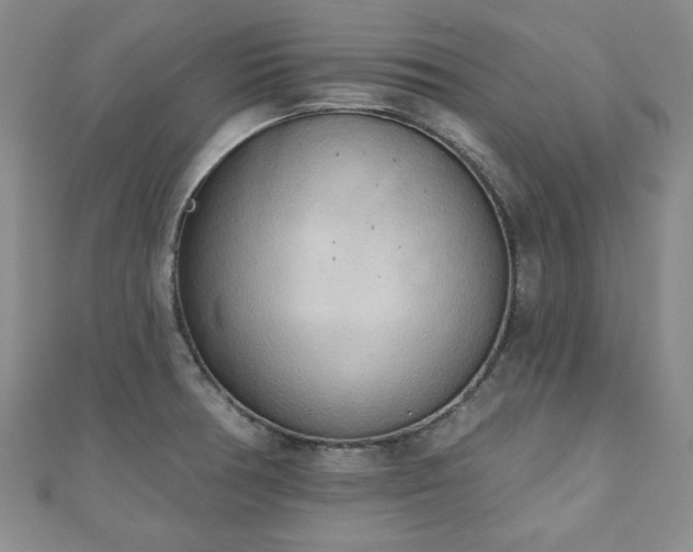 X0000110861378200906181132