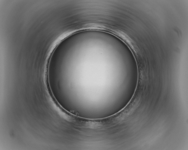 X0000110861379200906181132