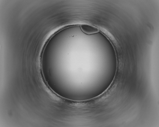 X0000110861380200906181132