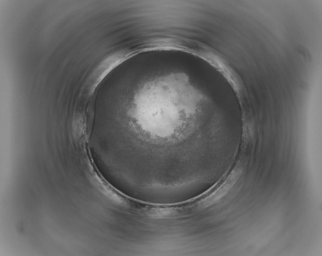 X0000110861385200906181132