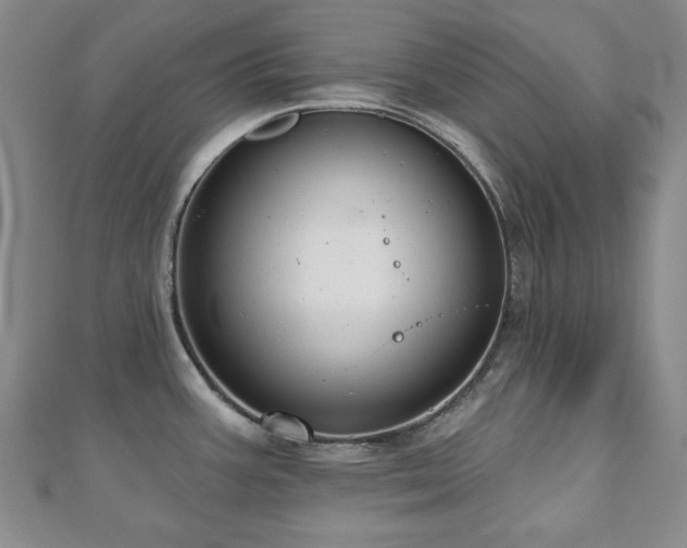 X0000110861387200906181132