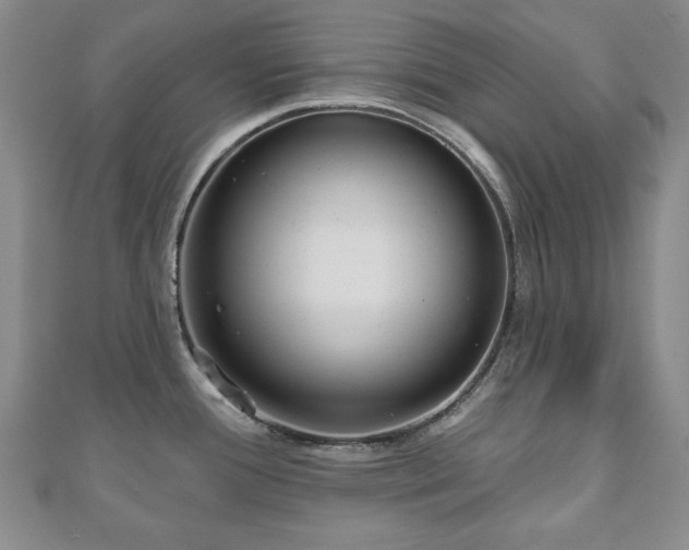 X0000110861388200906181132