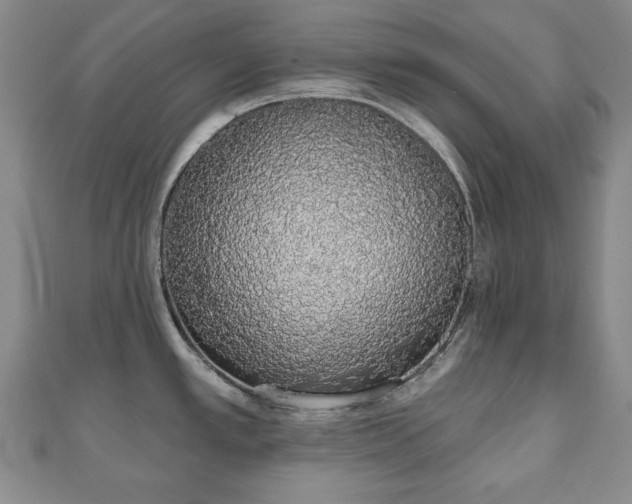 X0000110861389200906181132