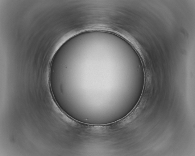 X0000110861390200906181132