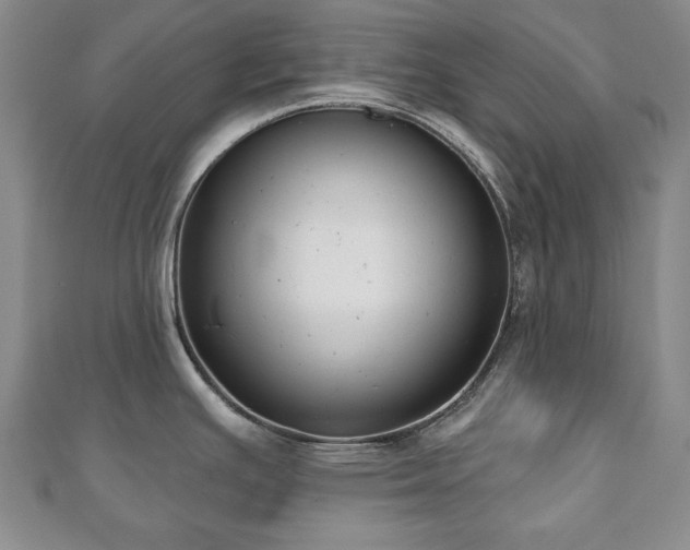 X0000110861391200906181132