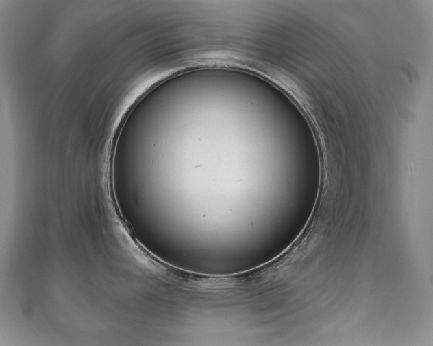 X0000110861392200906181132