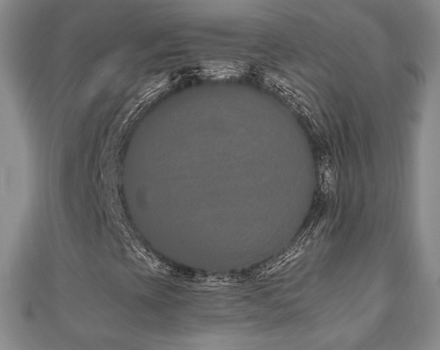 X0000110861393200906181132