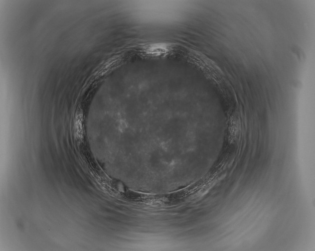 X0000110861394200906181132