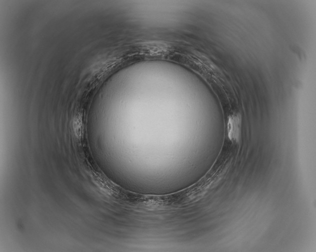 X0000110861395200906181132