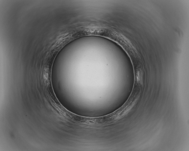 X0000110861396200906181132
