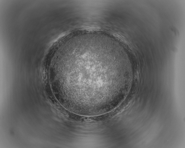 X0000110861398200906181132