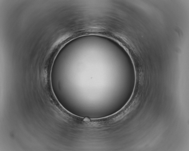 X0000110861402200906181132