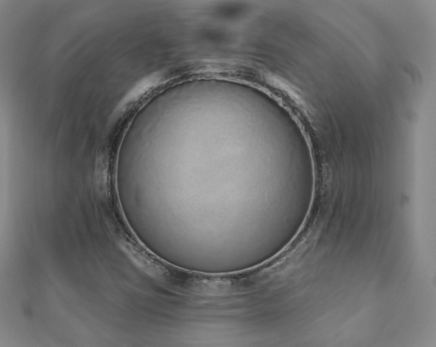 X0000110861403200906181132