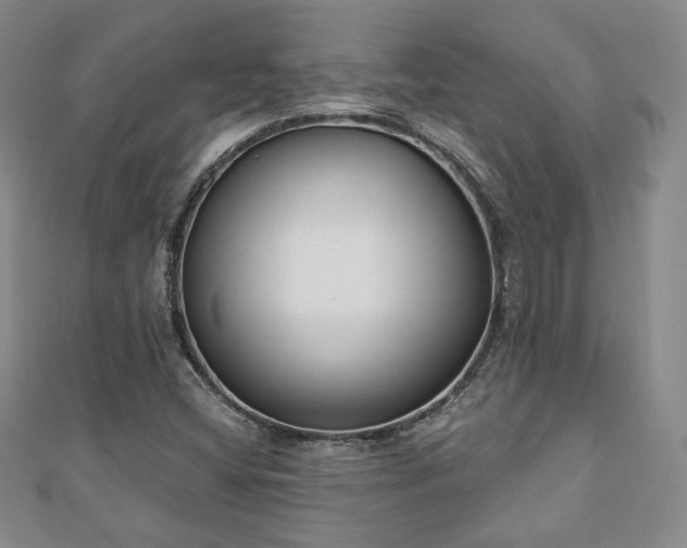 X0000110861404200906181132