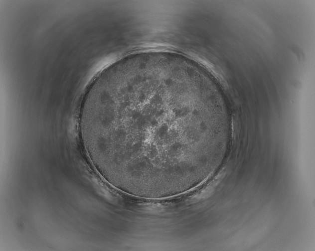 X0000110861405200906181132