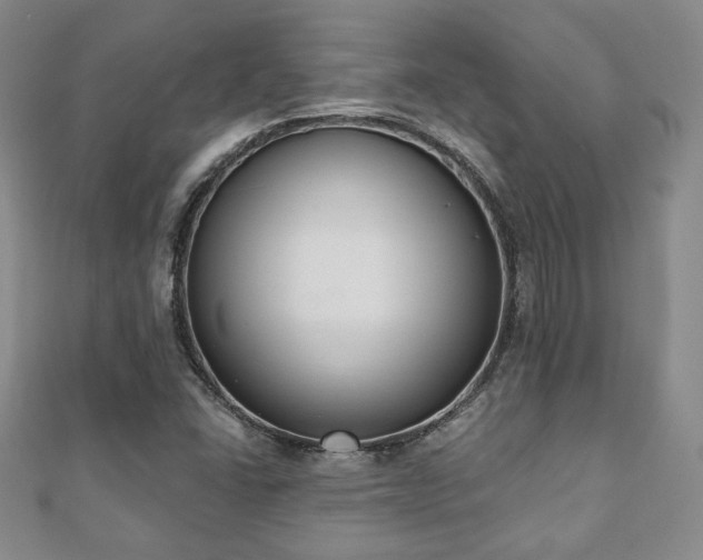 X0000110861406200906181132