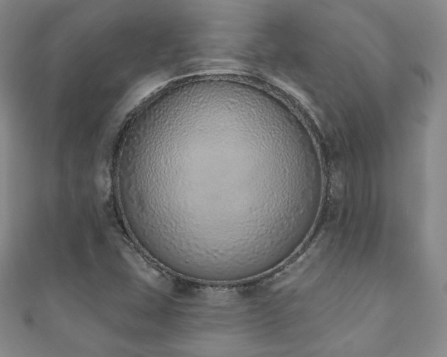 X0000110861407200906181132