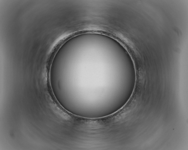 X0000110861408200906181132