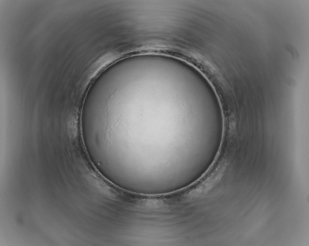 X0000110861409200906181132