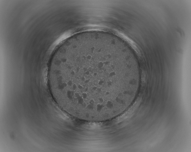 X0000110861411200906181132