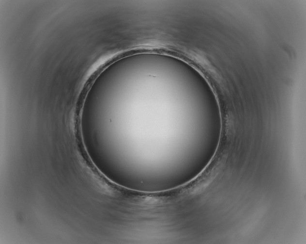 X0000110861412200906181132