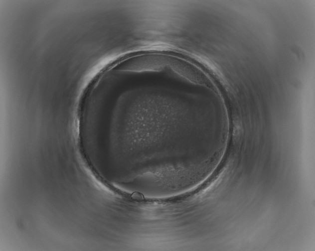 X0000110861414200906181132