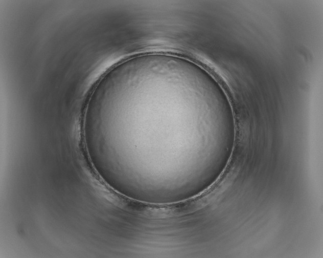 X0000110861415200906181132