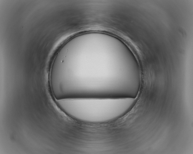 X0000110861416200906181132