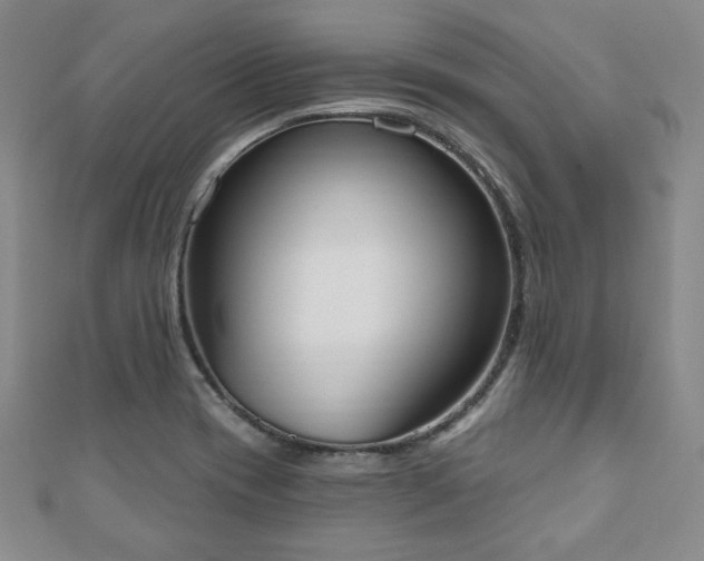 X0000110861417200906181132