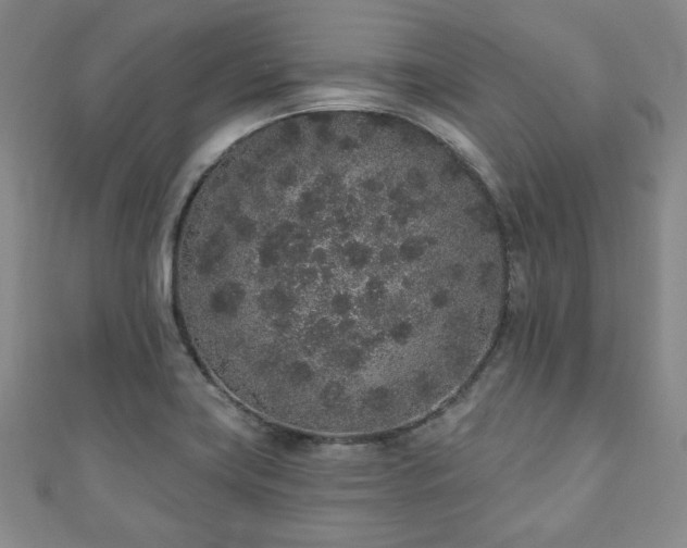 X0000110861419200906181132