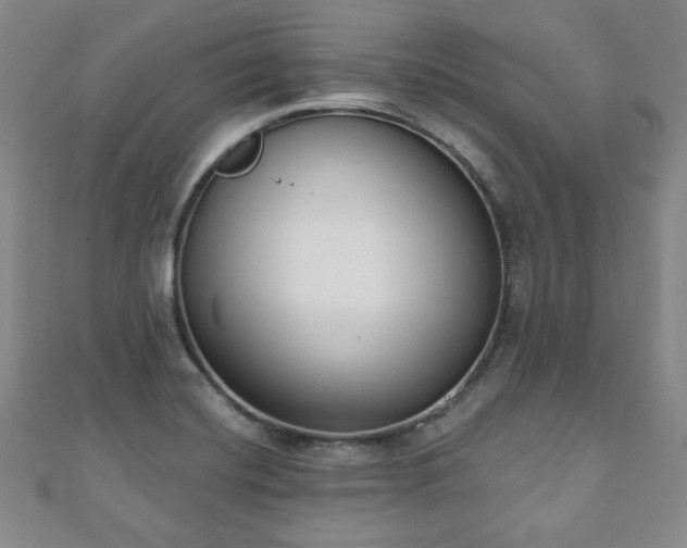 X0000110861420200906181132