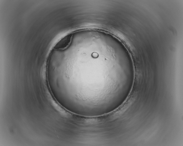 X0000110861421200906181132