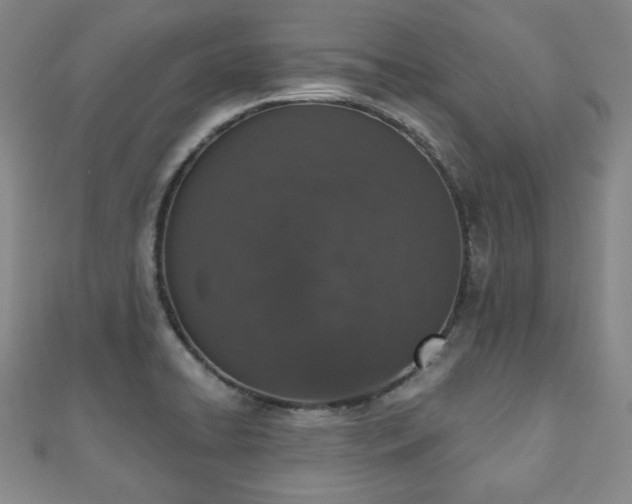 X0000110861422200906181132