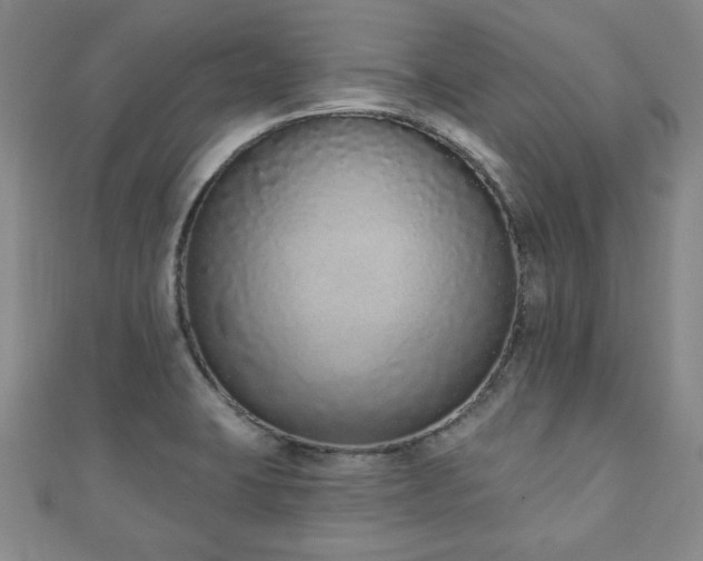 X0000110861423200906181132