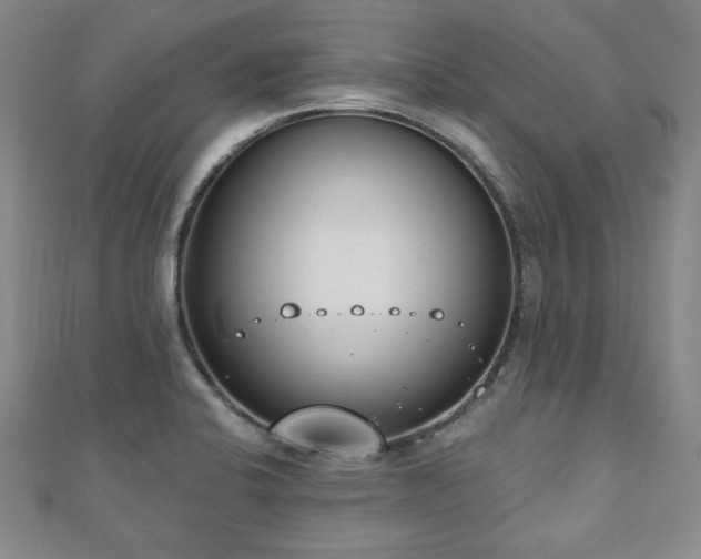 X0000110861424200906181132