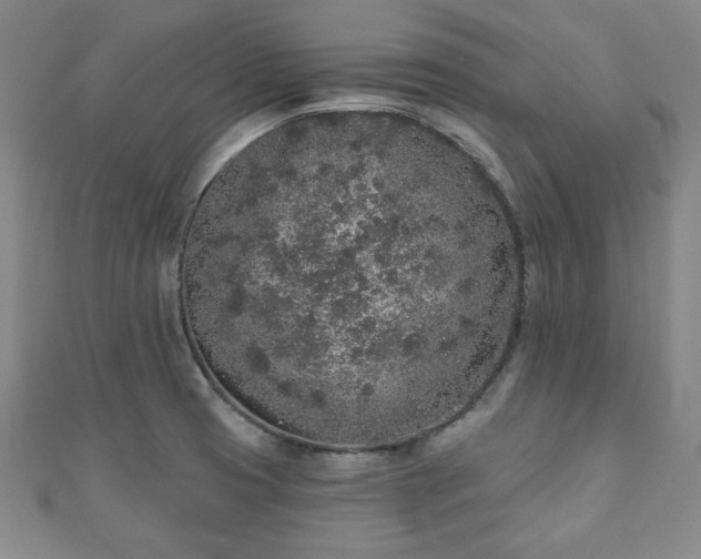 X0000110861425200906181132